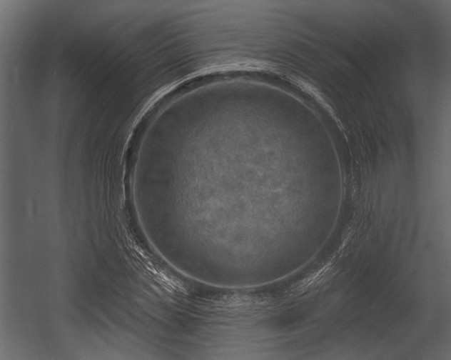 X0000054420829200508011355