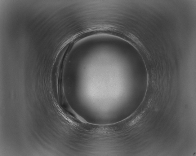 X0000054420834200508011355