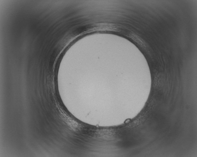 X0000054420836200508011355