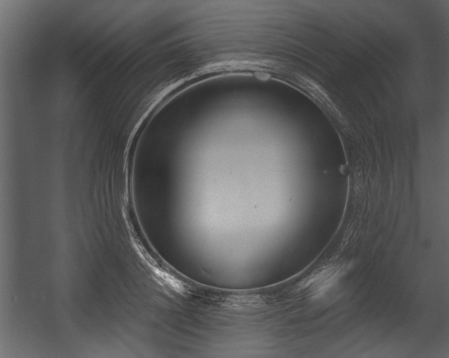 X0000054420844200508011355