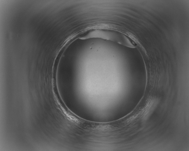 X0000054420845200508011355