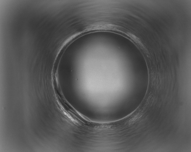 X0000054420846200508011355