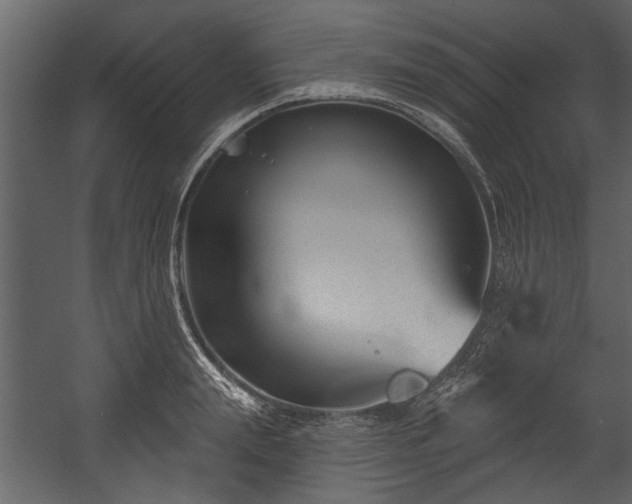 X0000054420847200508011355