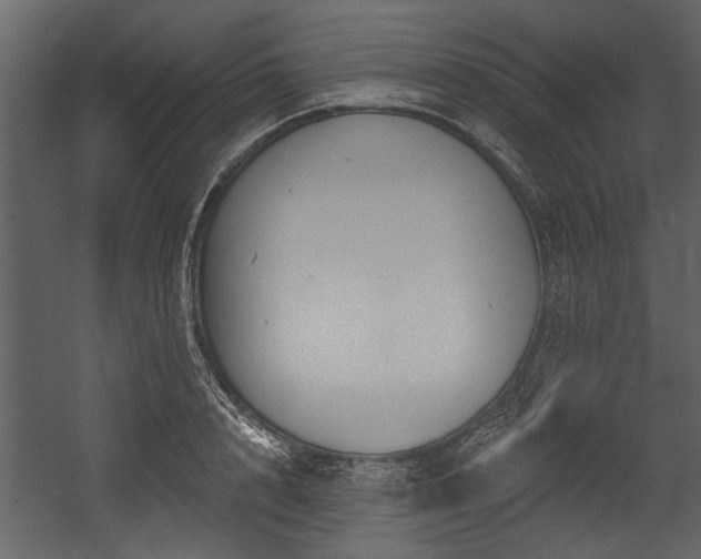 X0000054420848200508011355