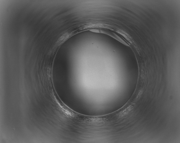 X0000054420849200508011355