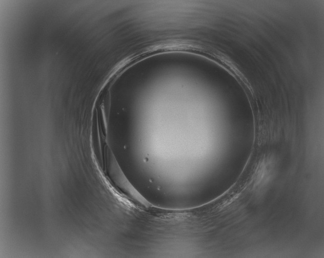 X0000054420853200508011355