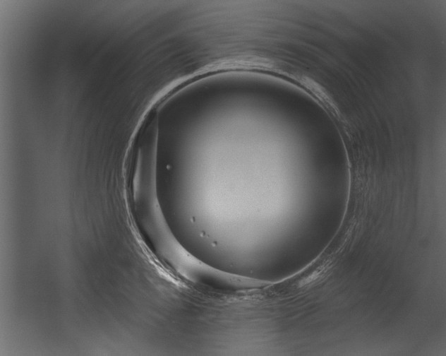 X0000054420854200508011355