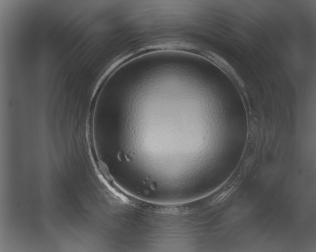 X0000054420855200508011355