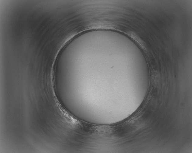 X0000054420856200508011355