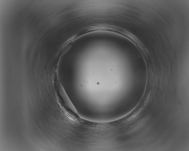 X0000054420857200508011355