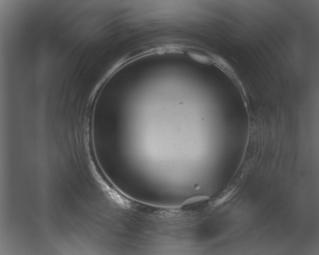 X0000054420859200508011355