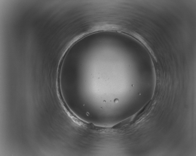 X0000054420861200508011356