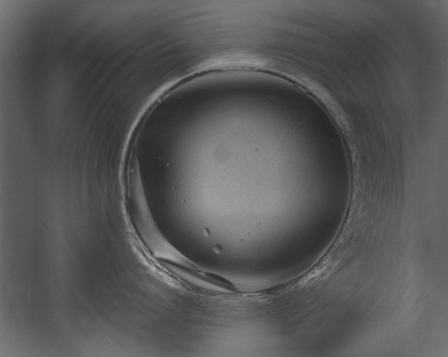 X0000054420864200508011356