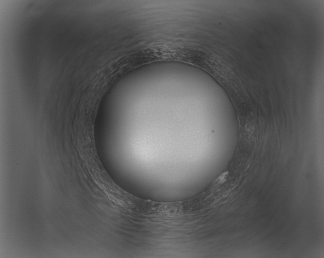 X0000054420865200508011355