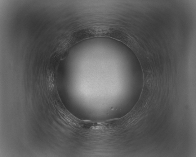 X0000054420866200508011355