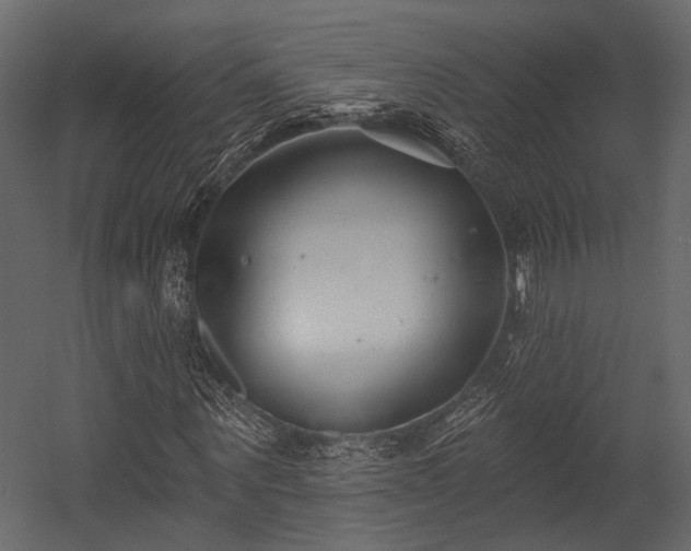 X0000054420867200508011355