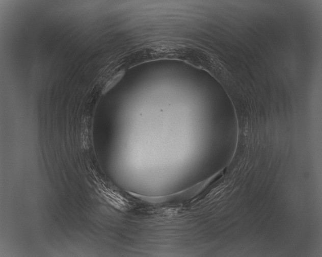 X0000054420868200508011355