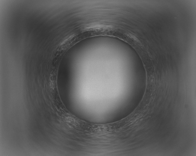 X0000054420869200508011355