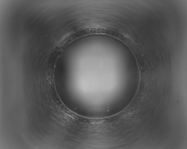 X0000054420870200508011355