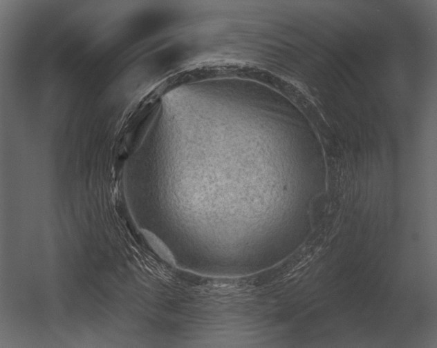 X0000054420871200508011355