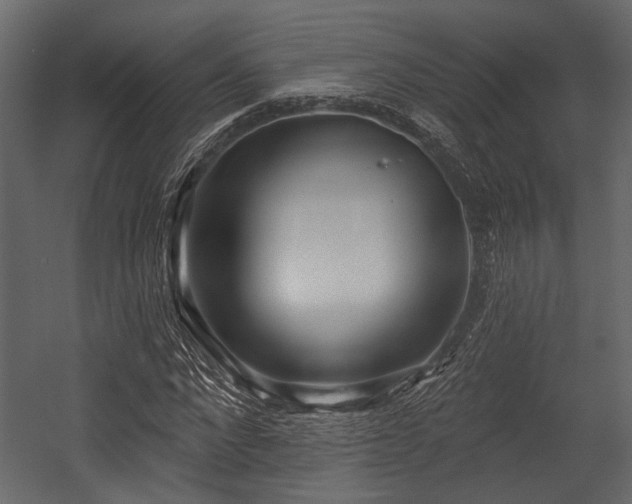 X0000054420872200508011355