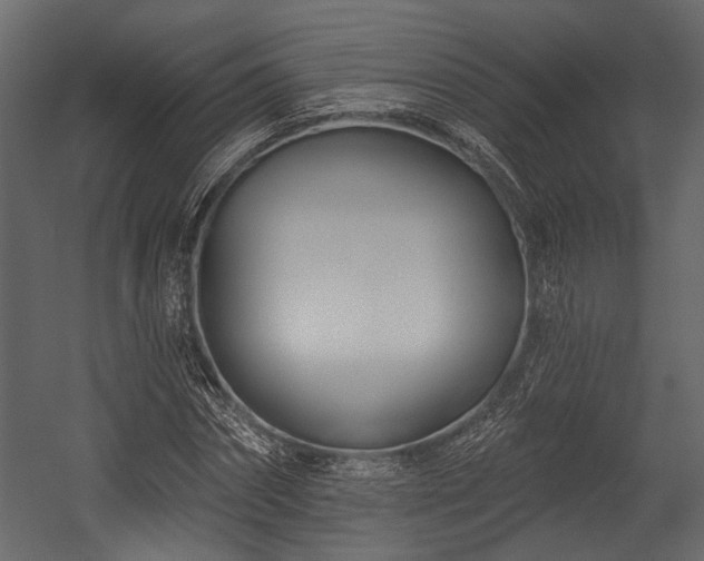 X0000054420874200508011355