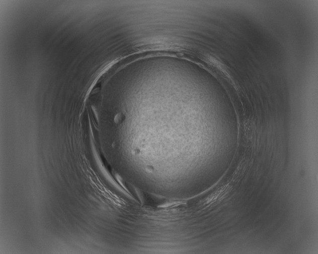 X0000054420875200508011355