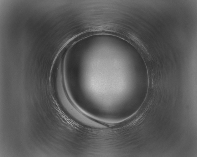 X0000054420876200508011355