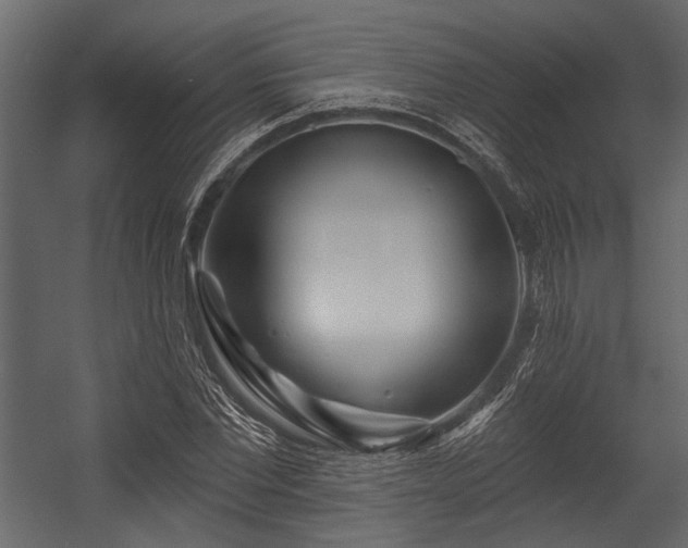 X0000054420877200508011355