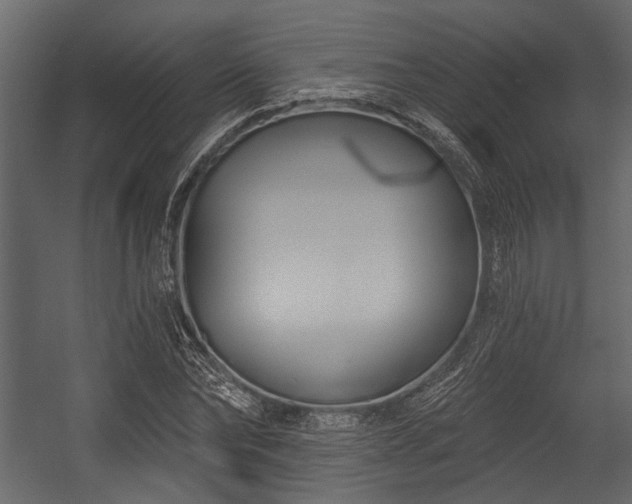 X0000054420878200508011355