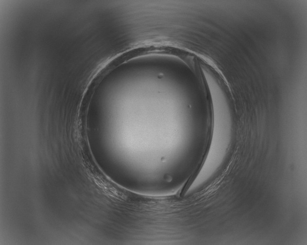 X0000054420879200508011355