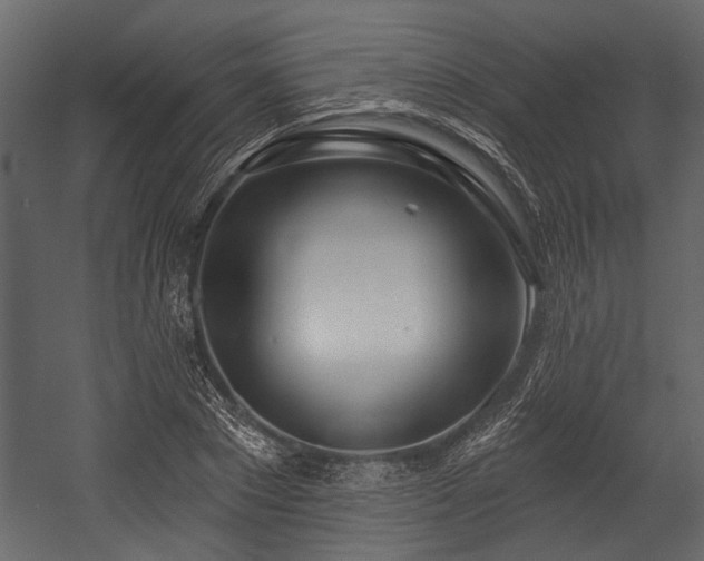 X0000054420881200508011355