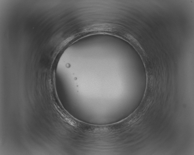 X0000054420882200508011354