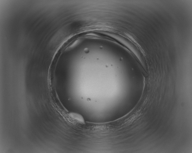 X0000054420883200508011354