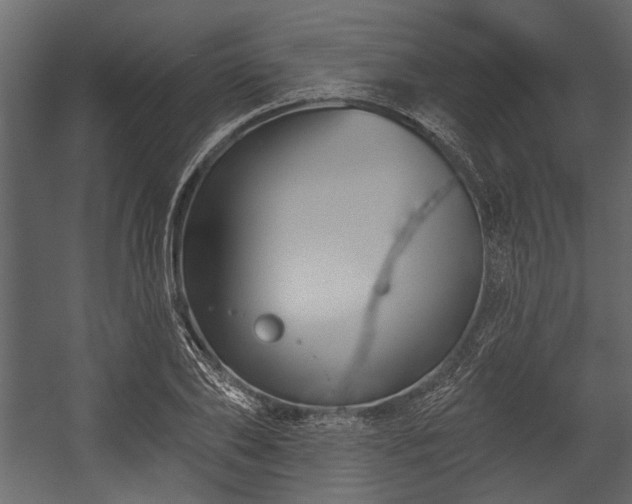 X0000054420886200508011354