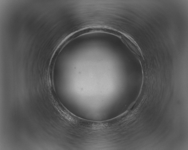 X0000054420887200508011354