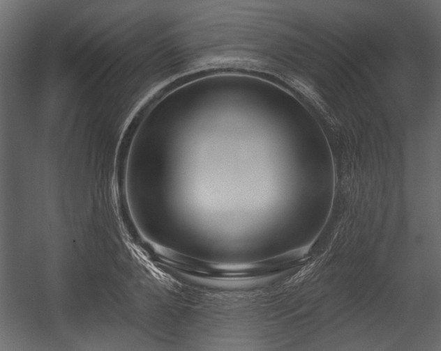 X0000054420888200508011354