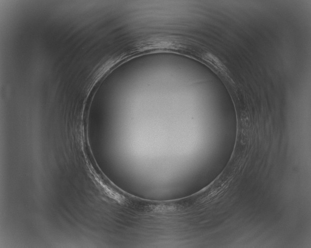 X0000054420890200508011354