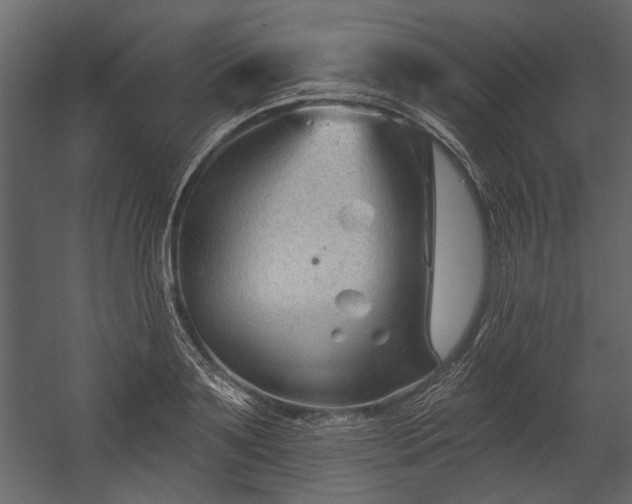 X0000054420891200508011354