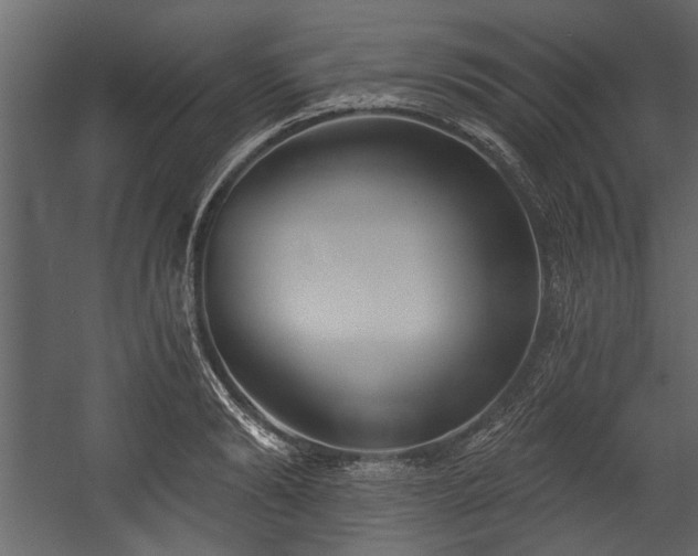 X0000054420894200508011354