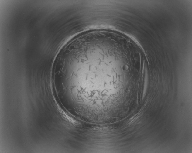 X0000054420895200508011354