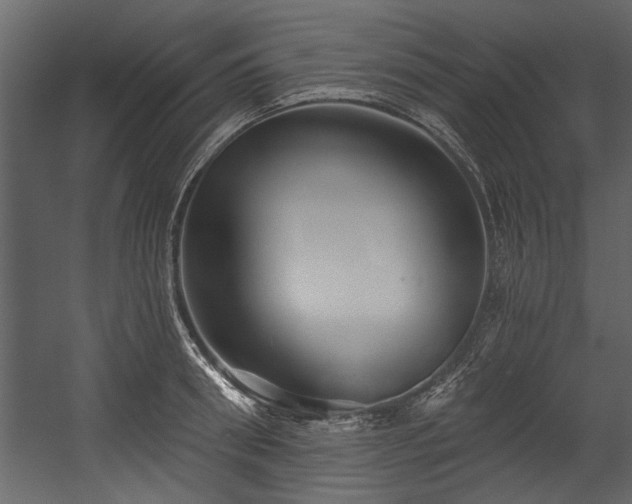 X0000054420898200508011354