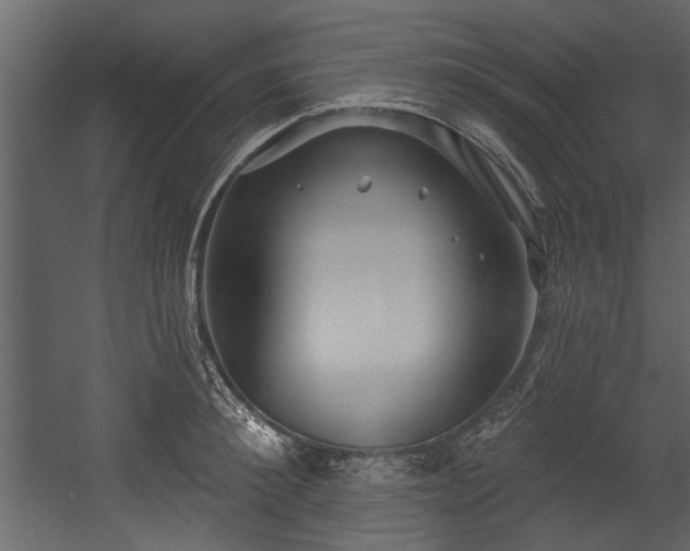 X0000054420900200508011354