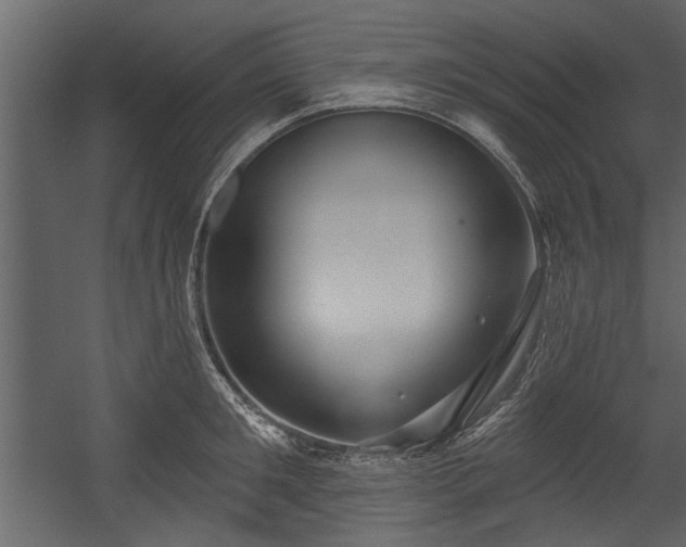 X0000054420901200508011354