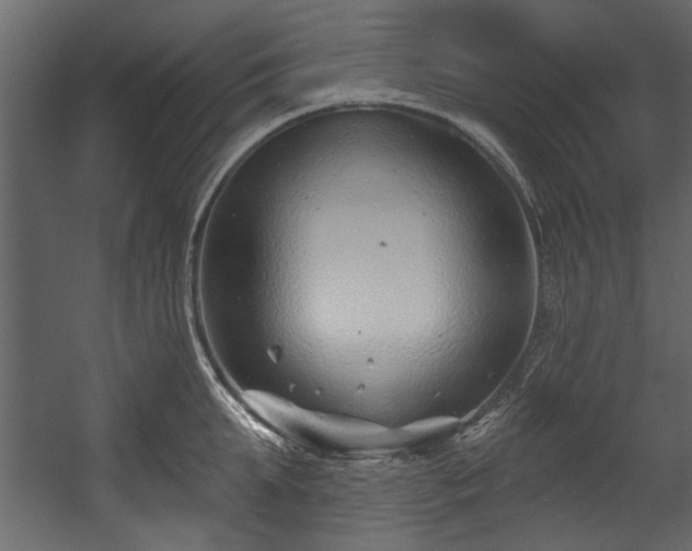 X0000054420903200508011354