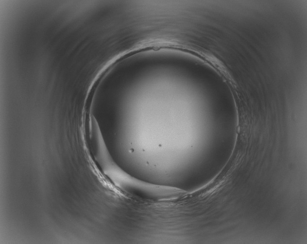 X0000054420904200508011354