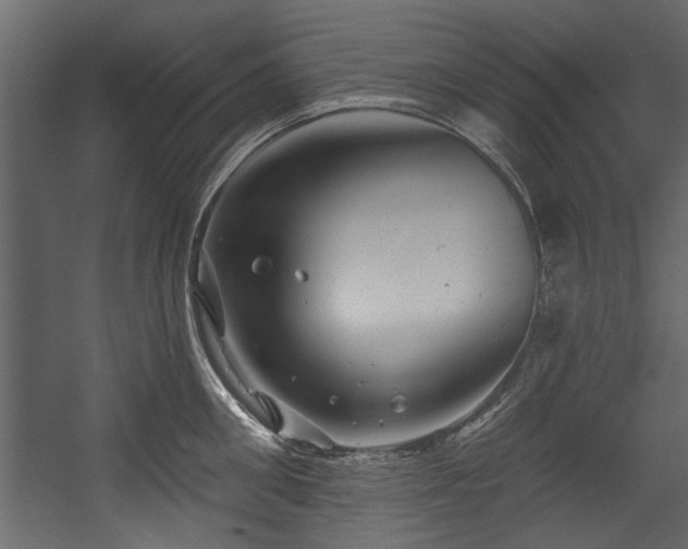 X0000054420906200508011354