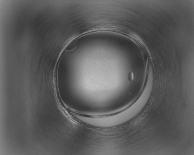 X0000054420907200508011354