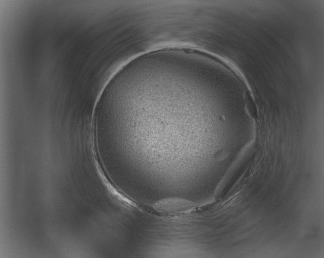 X0000054420911200508011354