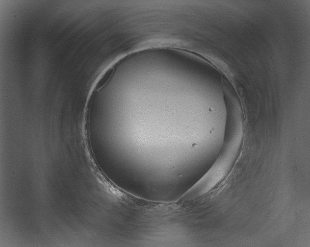 X0000054420912200508011354